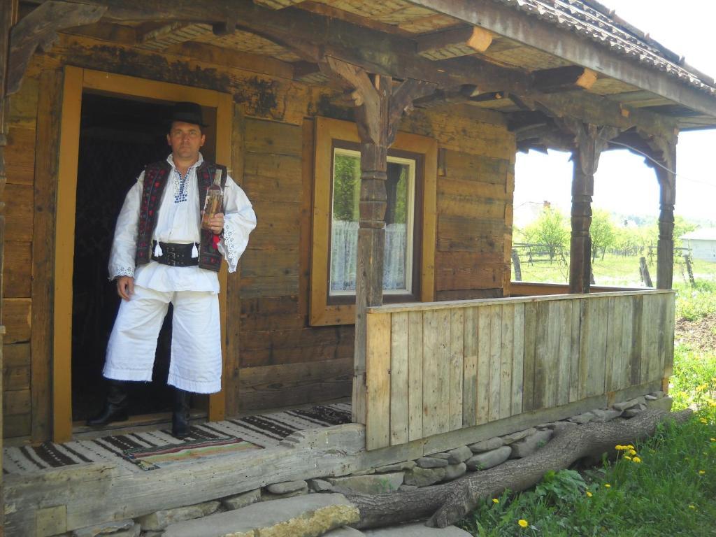 Pensiunea Ilea Ieud Екстер'єр фото